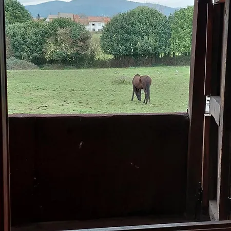 Casa Tipica Asturiana Сasa de vacaciones Avilés